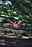 102